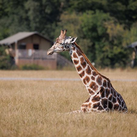 Knuthenborg Safaripark Hotel มาริโบ ภายนอก รูปภาพ