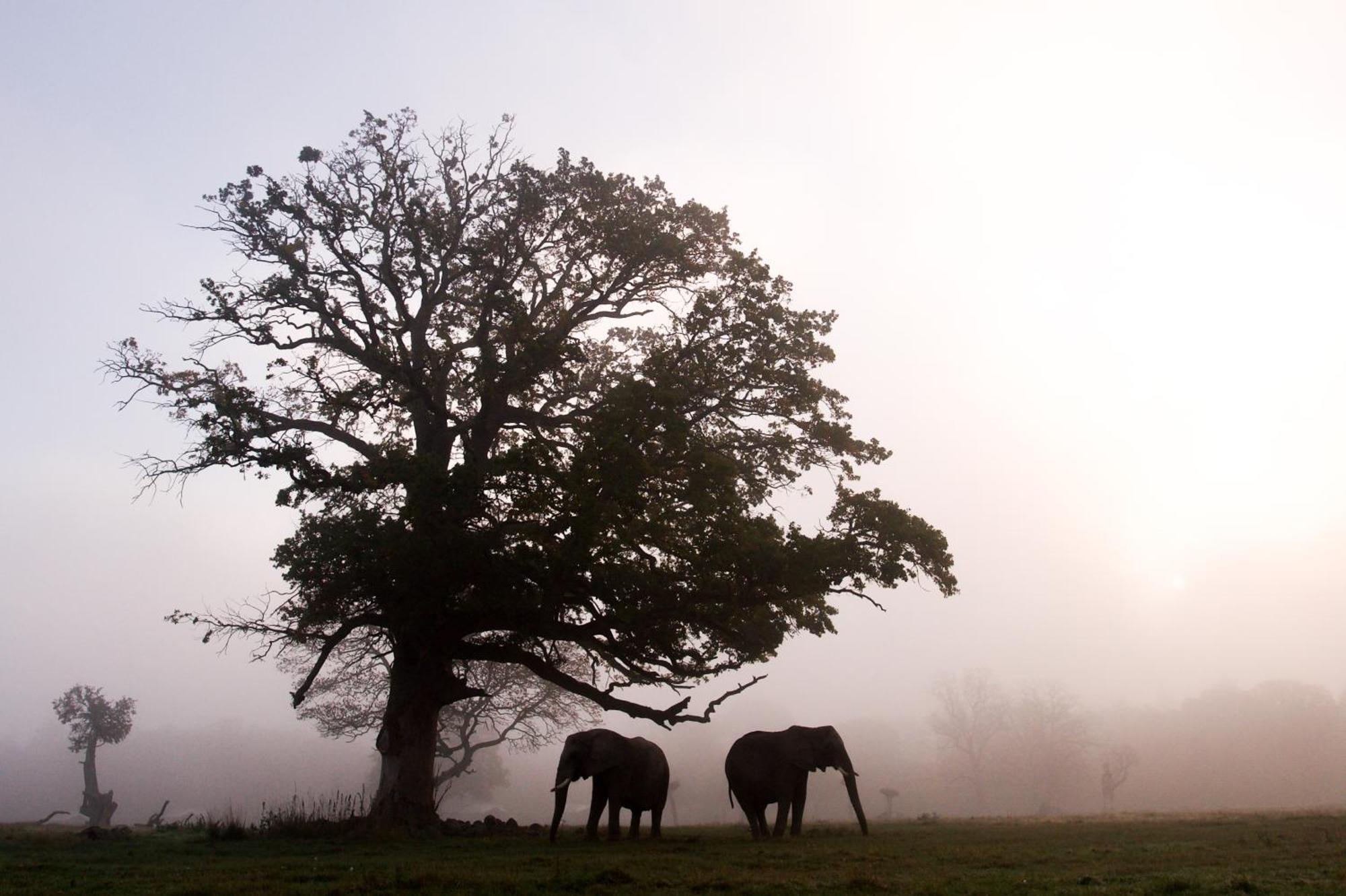 Knuthenborg Safaripark Hotel มาริโบ ภายนอก รูปภาพ