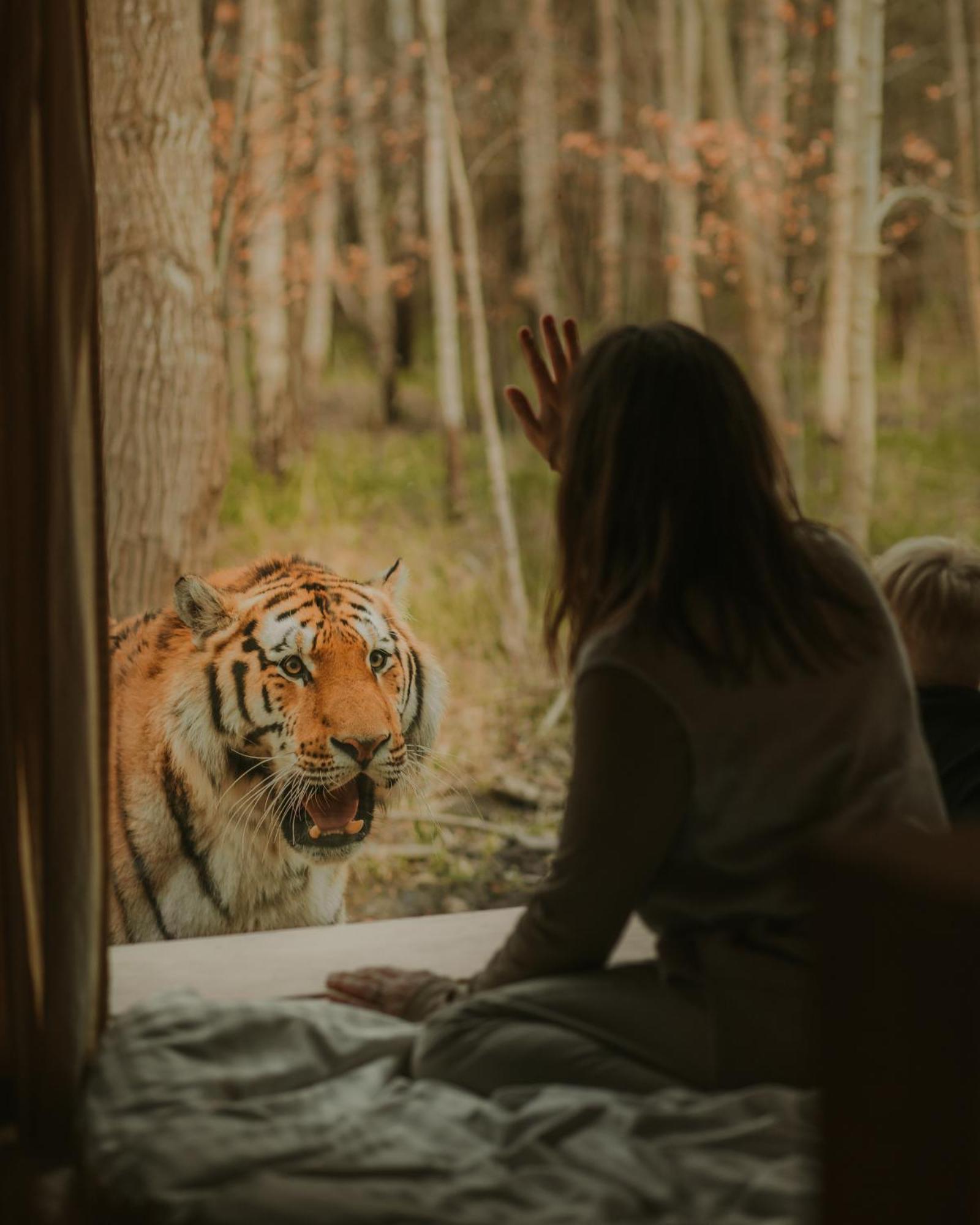Knuthenborg Safaripark Hotel มาริโบ ภายนอก รูปภาพ