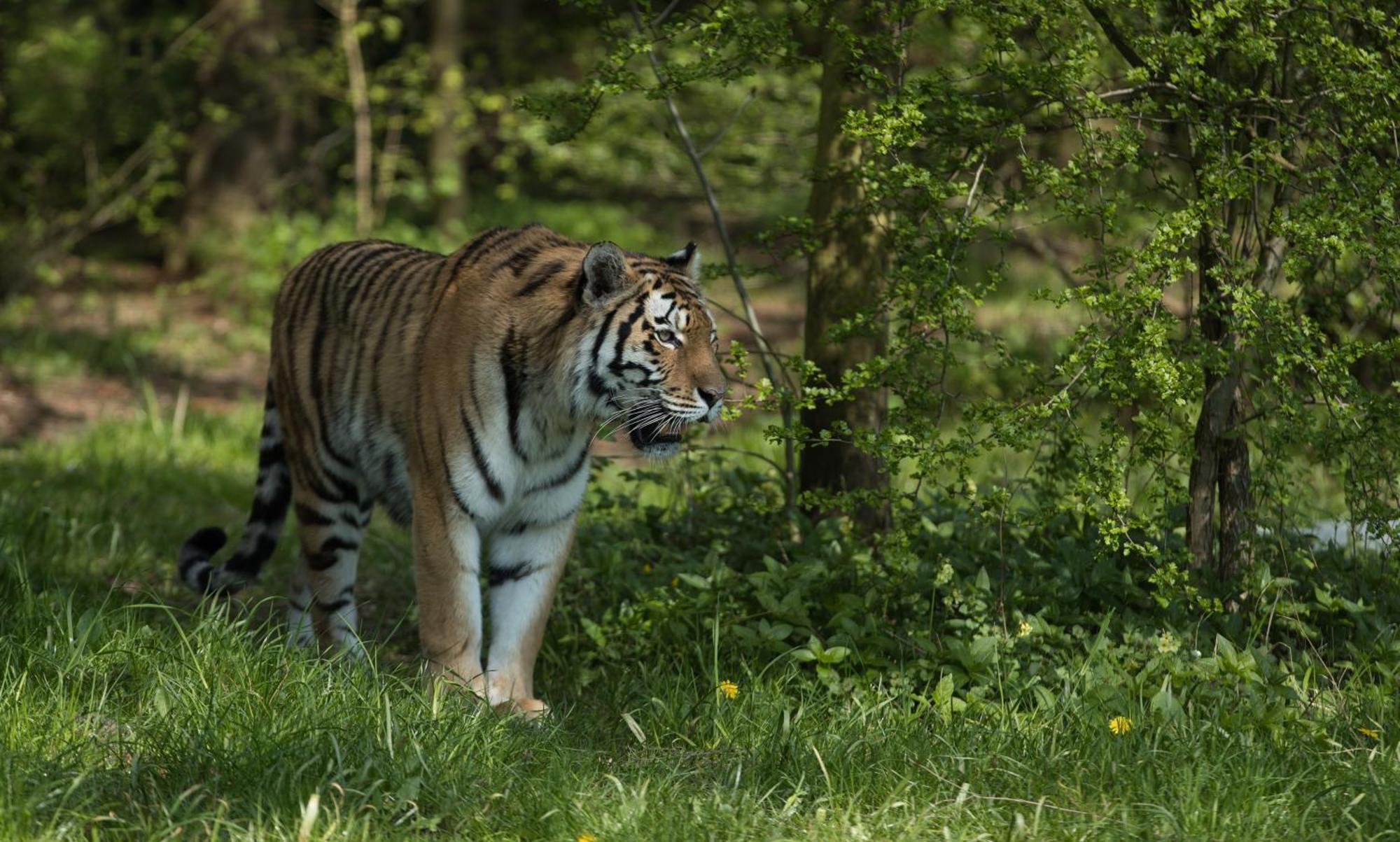 Knuthenborg Safaripark Hotel มาริโบ ภายนอก รูปภาพ