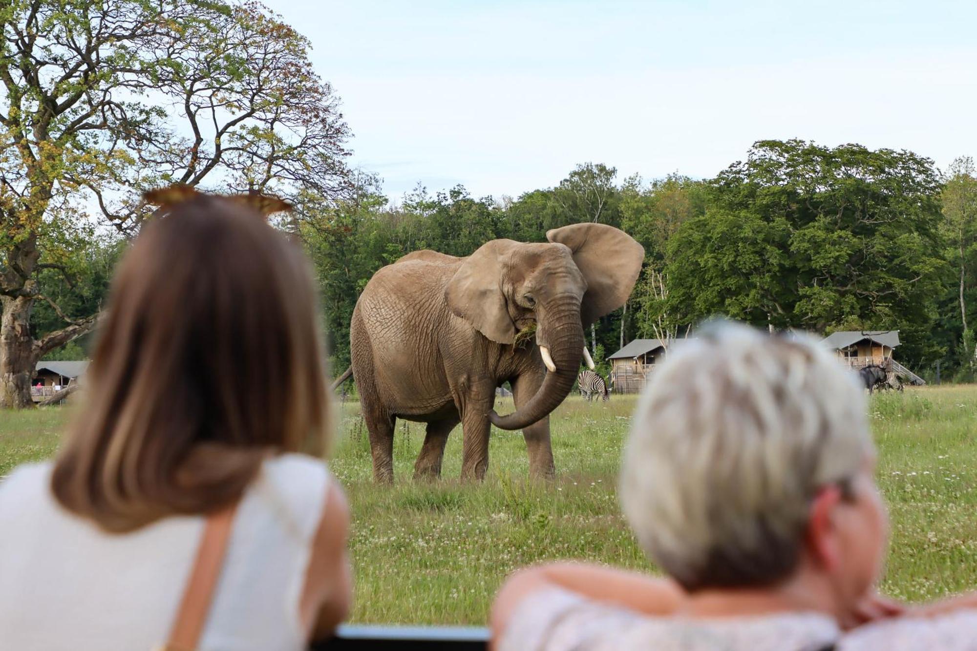 Knuthenborg Safaripark Hotel มาริโบ ภายนอก รูปภาพ