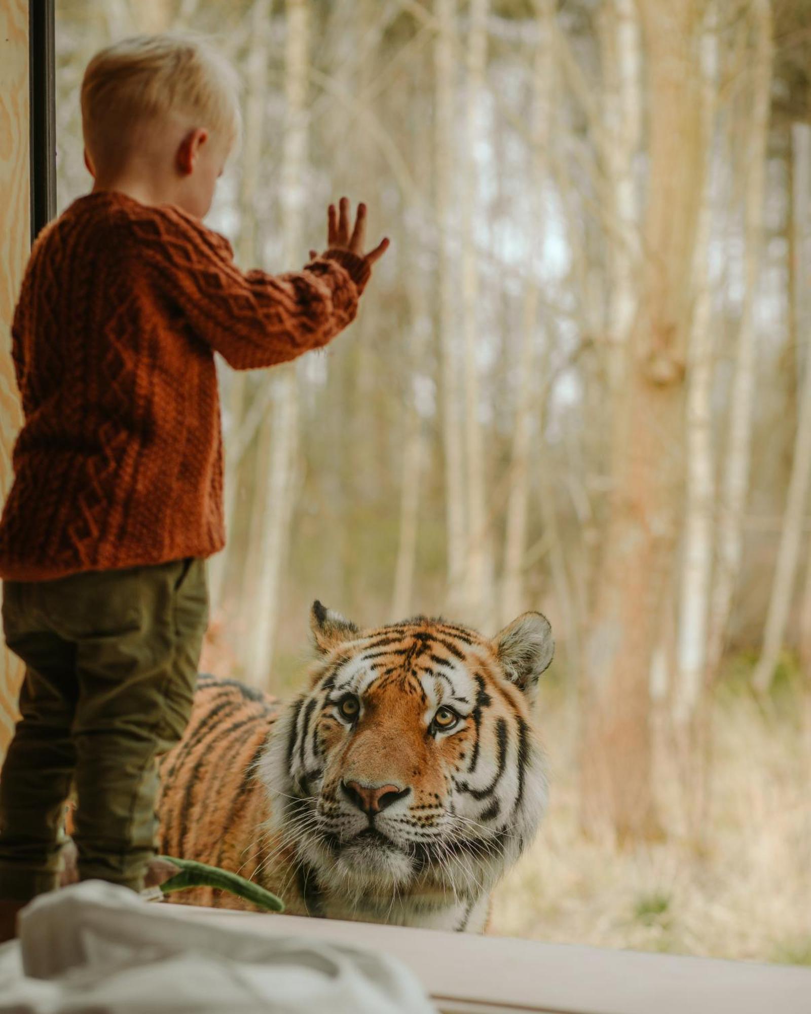 Knuthenborg Safaripark Hotel มาริโบ ภายนอก รูปภาพ