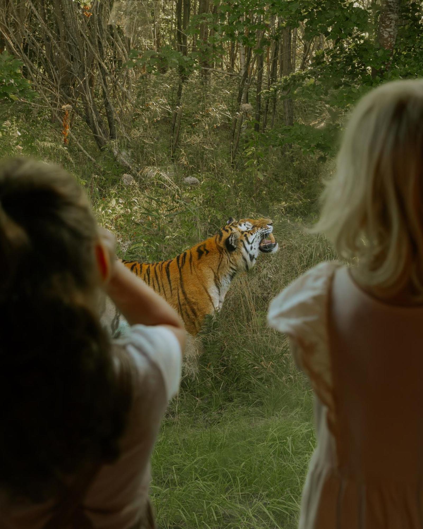 Knuthenborg Safaripark Hotel มาริโบ ภายนอก รูปภาพ