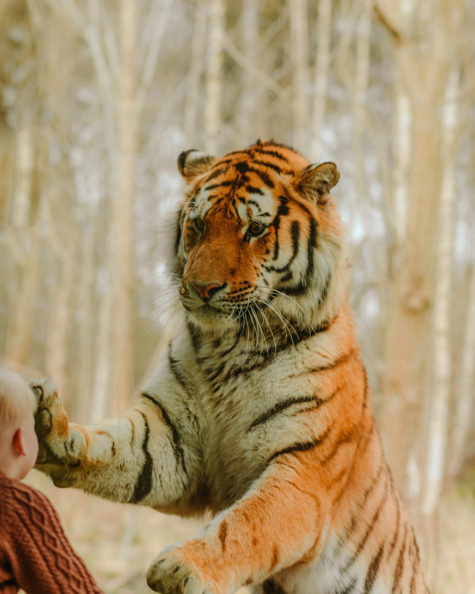 Knuthenborg Safaripark Hotel มาริโบ ภายนอก รูปภาพ