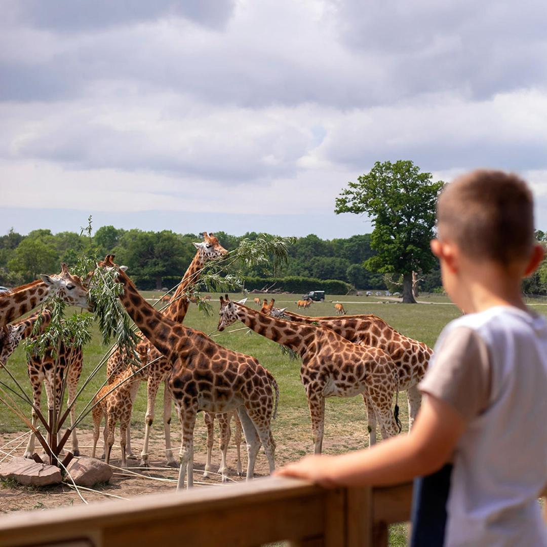 Knuthenborg Safaripark Hotel มาริโบ ภายนอก รูปภาพ