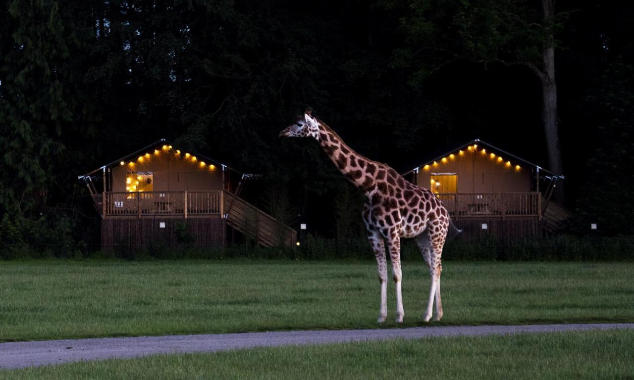 Knuthenborg Safaripark Hotel มาริโบ ภายนอก รูปภาพ