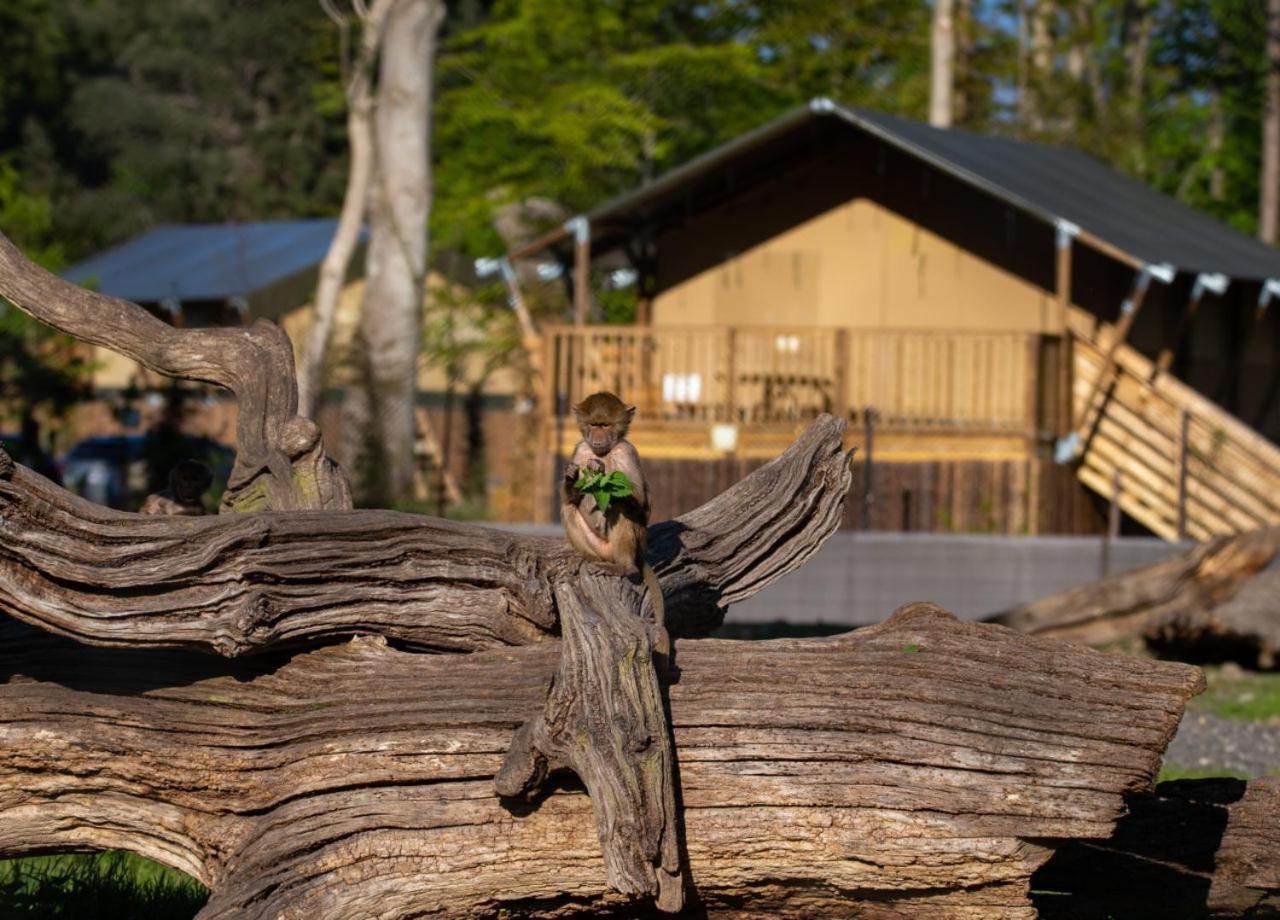 Knuthenborg Safaripark Hotel มาริโบ ภายนอก รูปภาพ