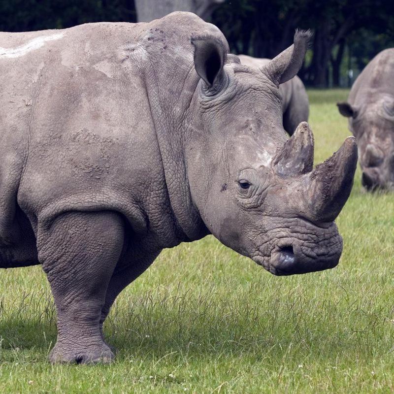 Knuthenborg Safaripark Hotel มาริโบ ภายนอก รูปภาพ